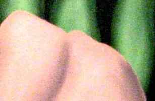 mal01.jpg (4958 Byte)