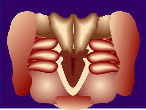 wesen01.jpg (22172 Byte)