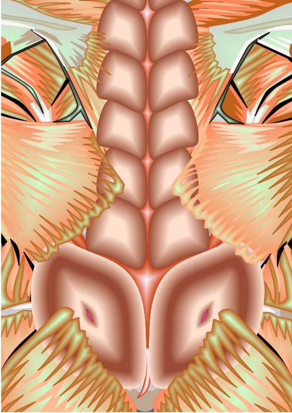 wesen55.jpg (73926 Byte)