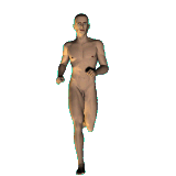 run.gif (27758 Byte)